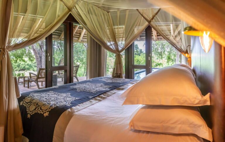 4 Day Dulini Leadwood Lodge Safari